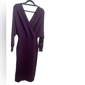 Purple Deep V Sweater Dress Size L NWOT